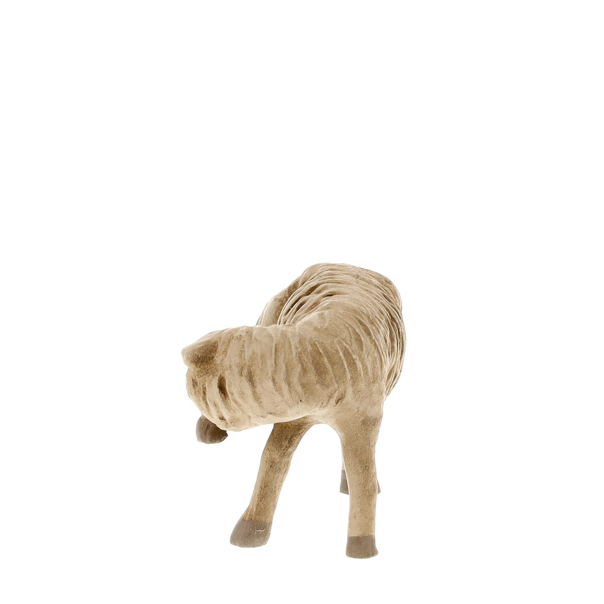 Schaf Bein leckend, zu 11 - 12cm Figuren