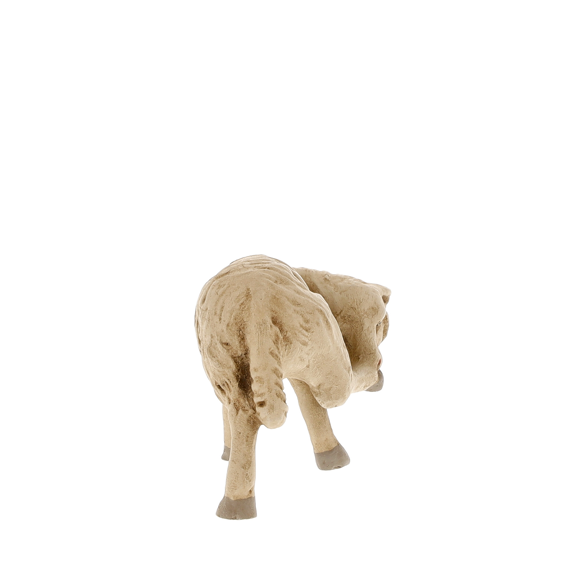Schaf Bein leckend, zu 11 - 12cm Figuren