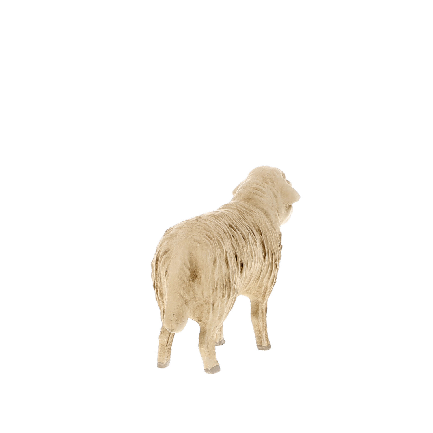 Schaf geradeaus blickend, zu 14cm Marolin Krippenfiguren - made in Germany